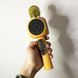 Беспроводной микрофон караоке bluetooth WSTER WS-1816. GT-337 Цвет: золотой
