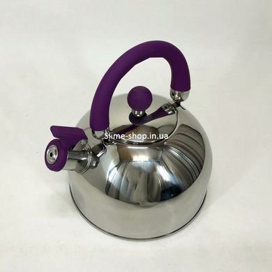 Чайник из нержавейки Unique UN-5302 2.5 л, Чайник из нержавейки с AX-326 бакелитовой ручкой