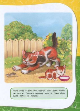 Книга Академия дошкольных наук. 1-2 года + наклейки! (на украинском языке)