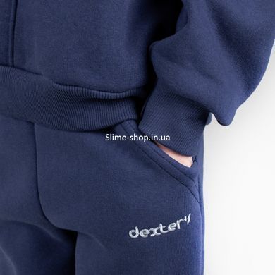 Джогеры детские из тринитки теплые Dexter`s