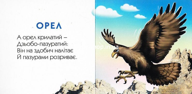 Книга-картона. Рогаты и когти (формат А-6) (на украинском языке)