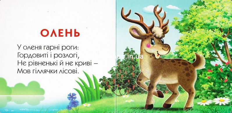 Книга-картона. Рогаты и когти (формат А-6) (на украинском языке)