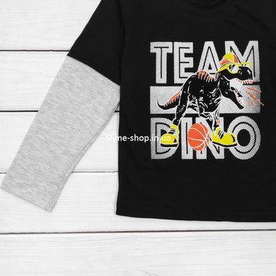 Футболка для мальчика с длинным рукавом Dino Team