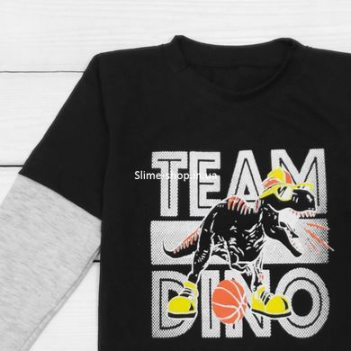 Футболка для мальчика с длинным рукавом Dino Team