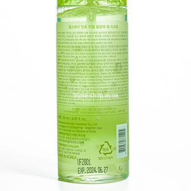 Гель міст для обличчя зволожуючий з екстрактом алое FarmStay it's Real Aloe Gel Mist 120 мл