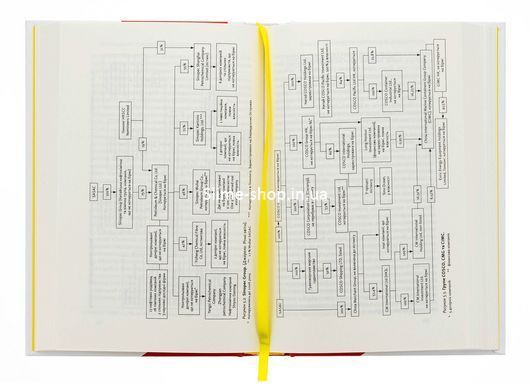 Книга Китайское чудо и государственный капитализм. От плановой экономики к модели ускоренного роста. Барри Нотон, Келли Цай