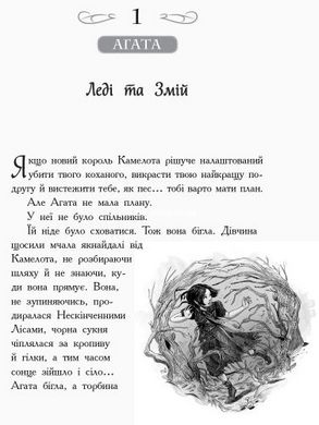 Школа Добра і Зла. Книга 5