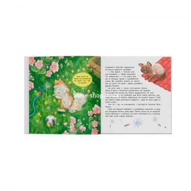 Книга "Хвостатые приключения. Пончик и Гренка учатся дружить"