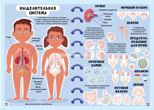 Книга "Меганаклейки. Тело человека" (рус)