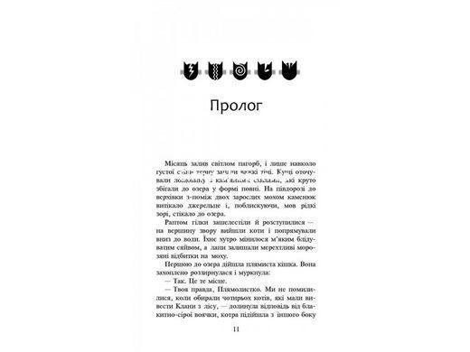 Книга Коты воины.Новое пророчество. Стожары. Книга 4 (на украинском языке)