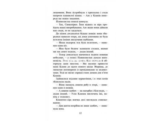 Книга Коты воины.Новое пророчество. Стожары. Книга 4 (на украинском языке)