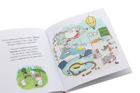Книга Емоції Гастона. Я боюся&nbsp;. Я шаленію. Комплект з 2-х книг / Орелі Ш&rsquo;єн Шо Шін (українською)
