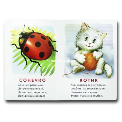 Книжка для малят. Хто це? Котик (формат А4)
