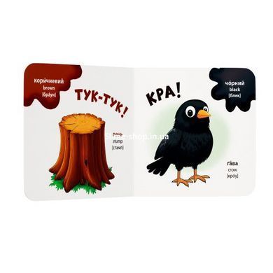 Книга "Розглядайка-розвивайка. Кольори"