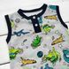 Песочник безрукавка AstroDino