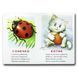 Книжка для малят. Хто це? Котик (формат А4)