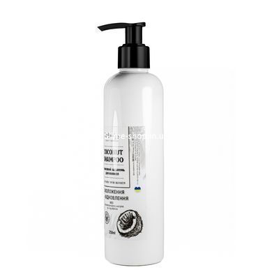 Шампунь для волосся зволожуючий Top Beauty Coconut Shampoo на основі кокосової олії 250 мл