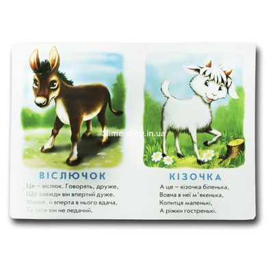 Книга для малышей. Кто это? Утенок (формат А4) (на украинском языке)