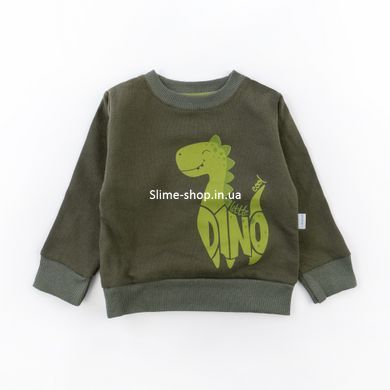 Костюм для мальчика с начесом с принтом динозаврика Dino