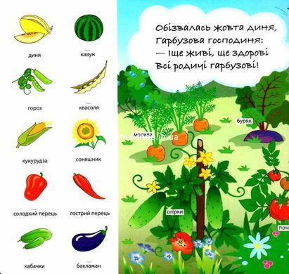 Книга Загляни в окошко. Ходит тыква по огороду (на украинском языке)