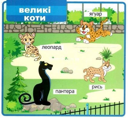 Книга Мої перші слова. Зоопарк