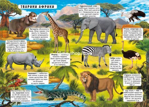 Книжка с окошками "Открой и узнай. Животные планеты Земля", укр