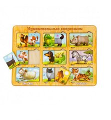 Деревянная игра сортер "Удивительные животные"