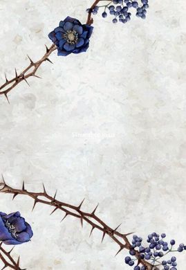 Книга Сага сестёр-ведьм. Сестра звёзд. Том 1/ Мара Вульф. Серия-Фэнтези Мары Вулф (на украинском)