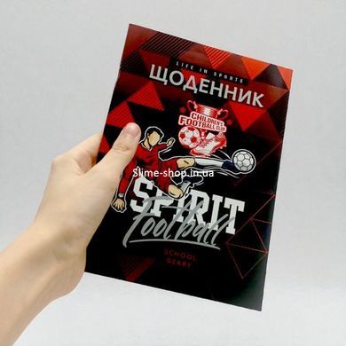 Дневник, футболист. 143х200 мм, 40 л.