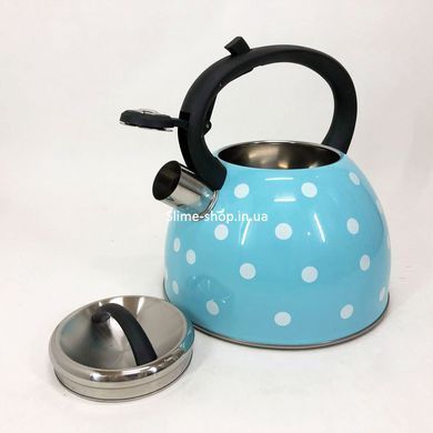 Чайник со свистком для электроплиты Unique UN-5301 2.5 л, Чайник из нержавейки, Чайник для HE-282 газовых плит