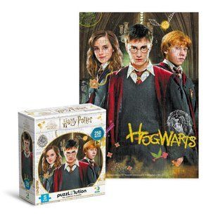 Пазл "Harry Potter. Гаррі та друзі" Medium-S (250 елем)