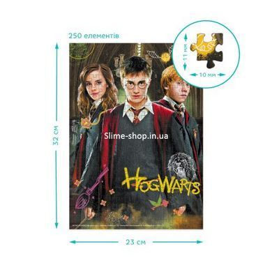 Пазл "Harry Potter. Гаррі та друзі" Medium-S (250 елем)