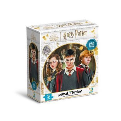 Пазл "Harry Potter. Гаррі та друзі" Medium-S (250 елем)