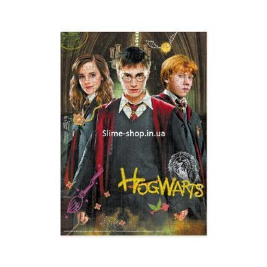 Пазл "Harry Potter. Гаррі та друзі" Medium-S (250 елем)