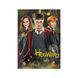 Пазл "Harry Potter. Гаррі та друзі" Medium-S (250 елем)