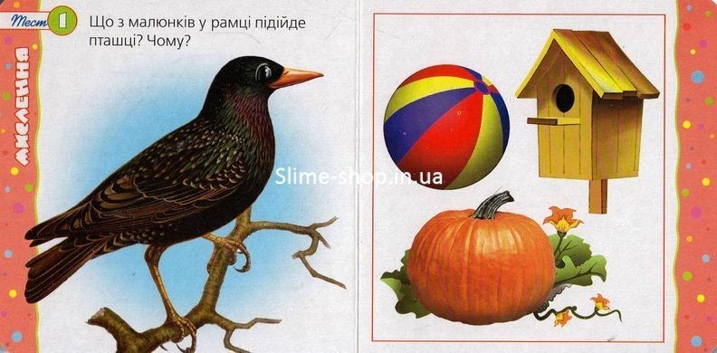 Книга Тест 2+. Мышление (формат А-6) (на украинском языке)