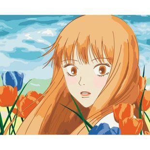 Картина за номерами (без підрамника) "Аніме. Kimi ni Todoke", 40х50 см