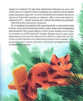 Книга Рождественские дела детектива Жерара. Иван Андрусяк (на украинском языке)