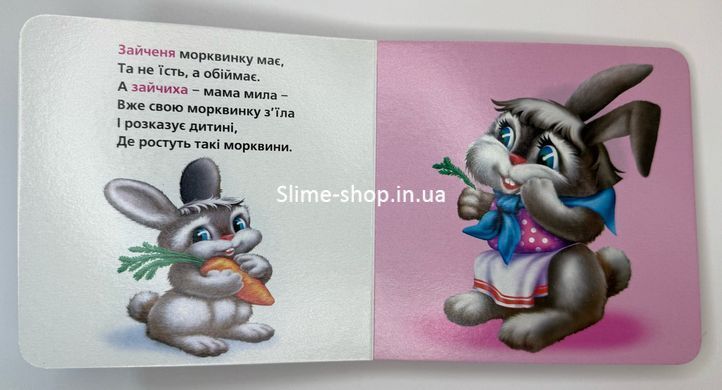Книжка-картонка. Хто чия мама? (формат А-6)