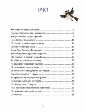 Книга для дітей Ведмежуня мандрує в Карпати Світлана Стретович