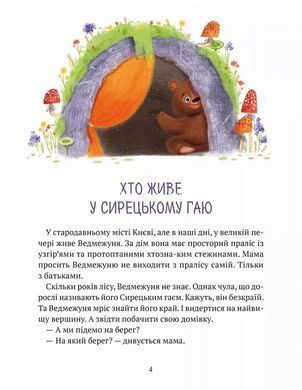 Книга для дітей Ведмежуня мандрує в Карпати Світлана Стретович