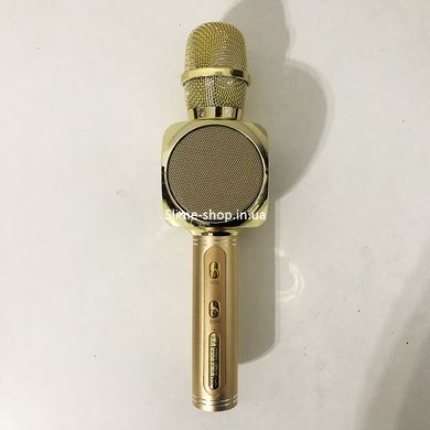 Беспроводной Bluetooth Микрофон для Караоке Микрофон DM Karaoke Y 68 + BT. PV-959 Цвет: золотой