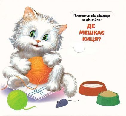 Книга 33 віконця. Хто де живе? - Ганна Чубач