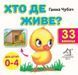 Книга 33 віконця. Хто де живе? - Ганна Чубач