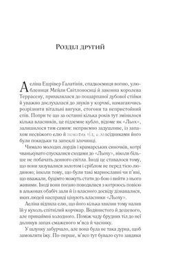 Книга Трон из стекла Книга 4. Королева теней / Сара Дж. Маас (9786171707627) (на украинском)