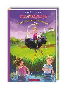 Книга Тайна казацкого сокровища (на украинском языке)