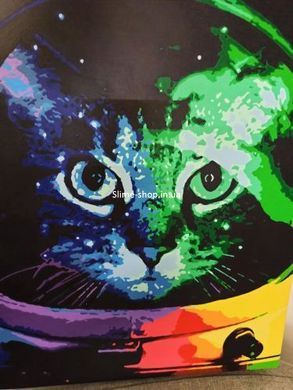 Картина по номерам "Котонавт"