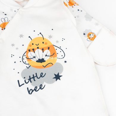 Комплект в роддом с шапочкой Bees