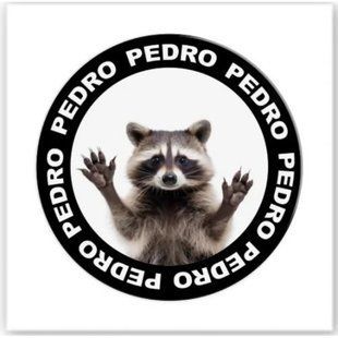 3D стикер "Pedro" (цена за 1 стикер)