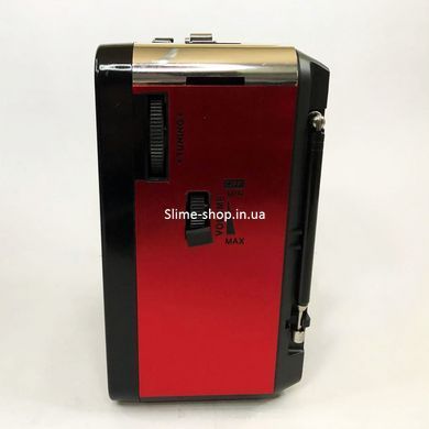 Радиоприемники fm диапазона GOLON RX-9100, Портативное ФМ радио EU-225 с флеш-накопителем